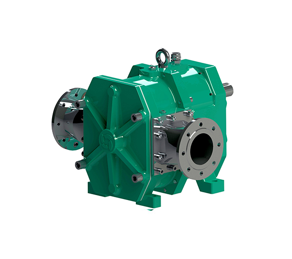 橡膠凸輪轉(zhuǎn)子泵概述